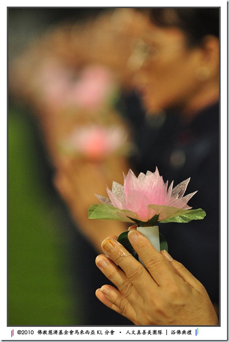 DSC_3745 DSC_3745