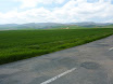 P1050395.JPG