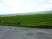 P1050396.JPG