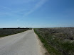 P1050439.JPG