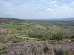 P1050553.JPG