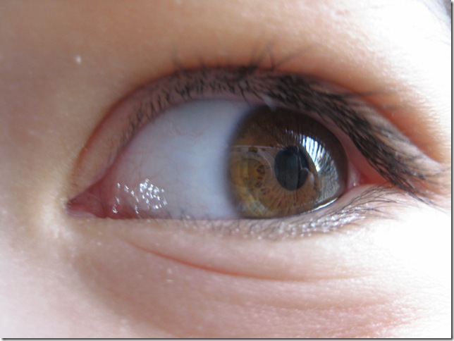 IMG_6286
