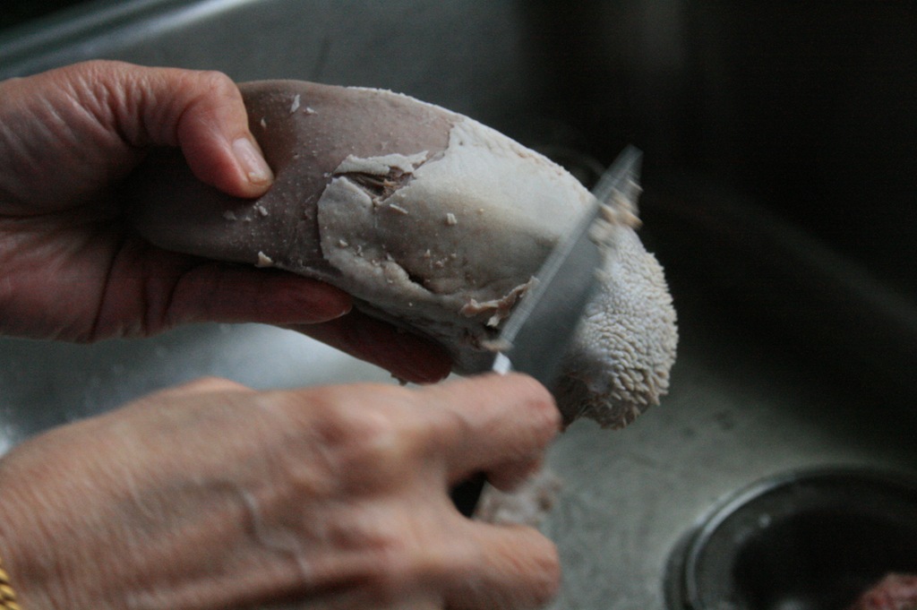 [January-2011-0094.jpg]