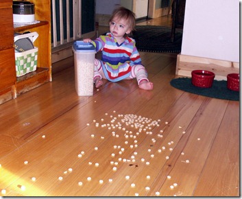 Elaine spilled the Cheerios