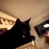 IMG_9700.jpg