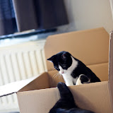 IMG_1331.jpg