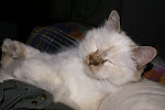 DSC05335.JPG