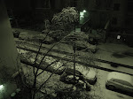 DSC05464.JPG