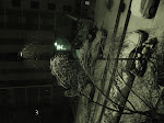DSC05467.JPG