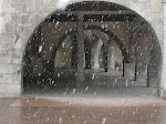 DSCN0798.JPG