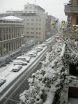 DSCN1116.JPG