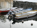 DSCN0855.JPG
