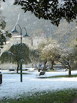 DSCN0859.JPG