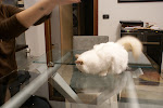 DSC05085.JPG