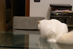 DSC05115.JPG