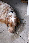 DSC09624.JPG