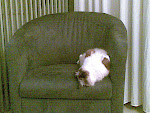 20042008(002).jpg