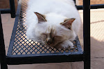 DSC08345.JPG