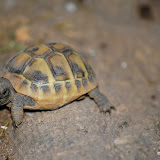 Saison 2011