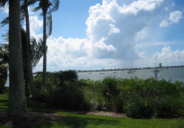 [fall-in-sarasota[4].jpg]