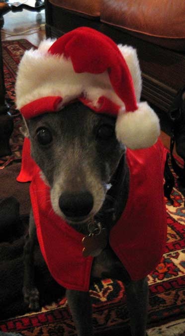 [ronja-x-mas-2010[4].jpg]