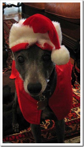 ronja-x-mas-2010