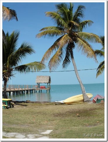 pigeon key