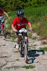 212_MTB_2010