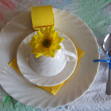 Plate Arrangement
