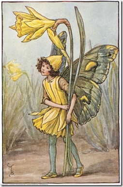 daffodil fairy