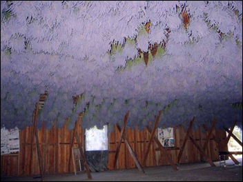 lavender Drying