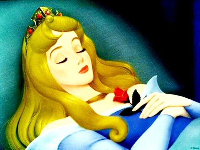 [Doornroosje01[5].jpg]