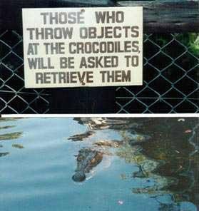 [funny_signs_7[5].jpg]