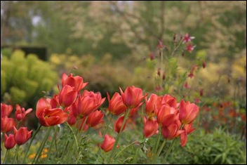 Sissinghurst