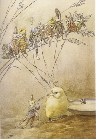 [A.DuncanCarseBothertheGnat4.jpg]