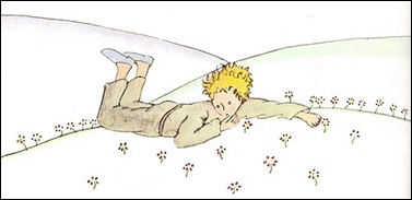 littleprince littleprince
