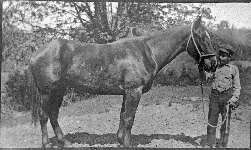 Big Horse Creek Farm