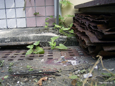 建地後方的界標 ，水泥太硬，鋼釘都打歪了。