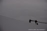 DSC_4098.JPG