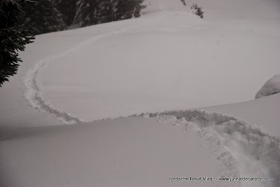 DSC_4141-2.jpg