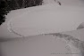 DSC_4141-2.jpg