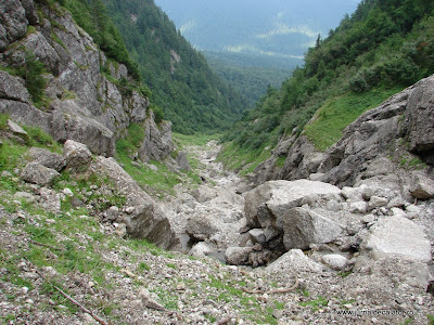Valea Alba - Albisoara Branei (35).JPG