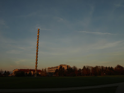 PB058206.JPG