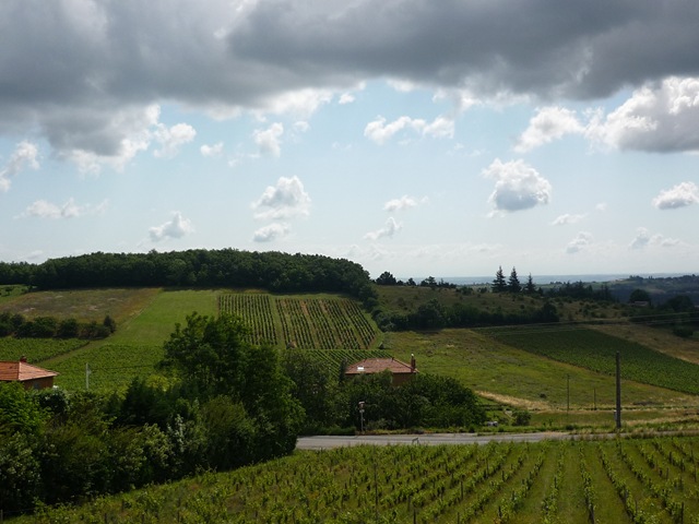 [P1060741[4].jpg]