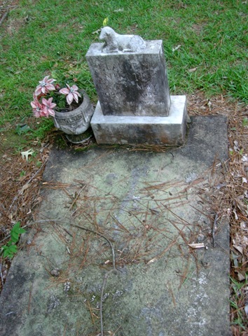 [Adaination200908020055.jpg]