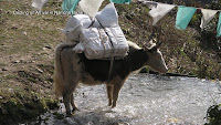 0432 Cooling on Arrival in Namche Bazar.jpg