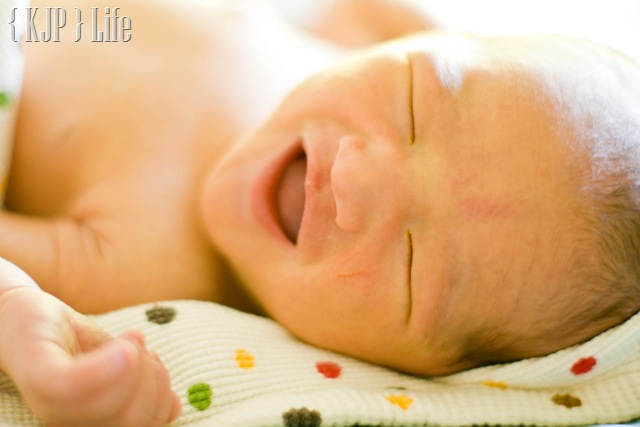 [_DSC2093[2].jpg]