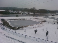 nieve
