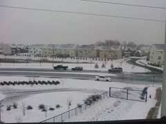 Nieve