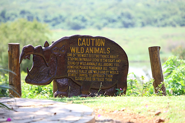 Марчисон Фолс (Murchison Falls) 